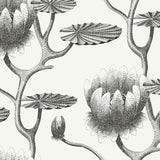 Cole and Son Tapet Lily 20