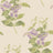 56 | Beige