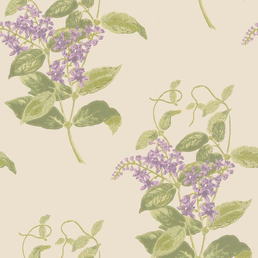 Cole and Son Tapet Madras Violet 56