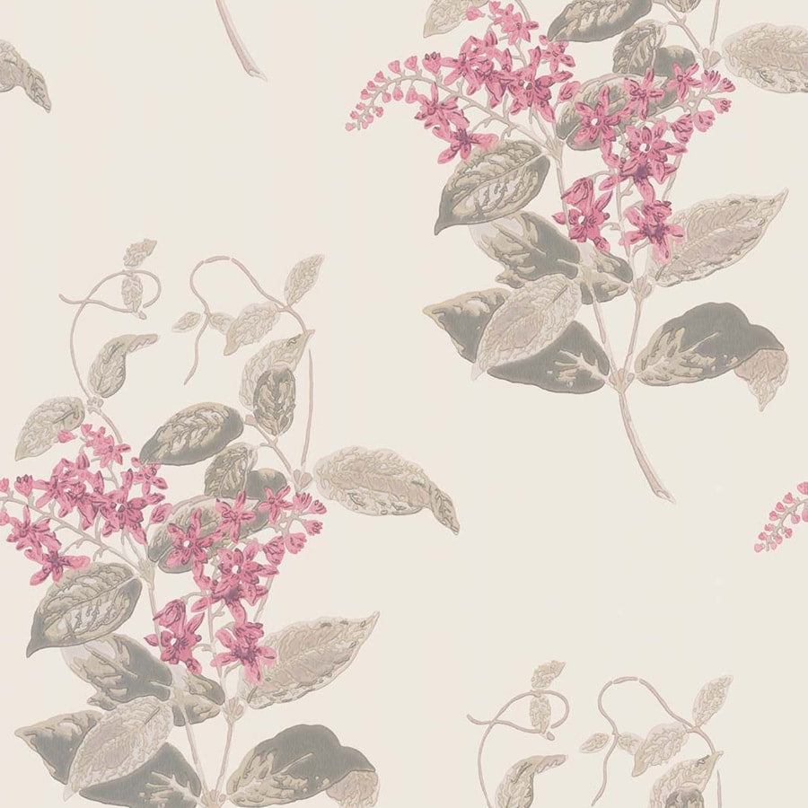 Cole and Son Tapet Madras Violet 58