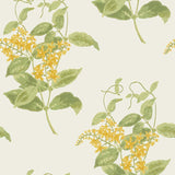 Cole and Son Tapet Madras Violet 59