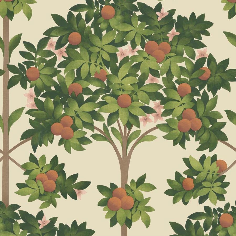 Cole and Son Tapet Orange Blossom  1