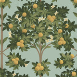 Cole and Son Tapet Orange Blossom  2