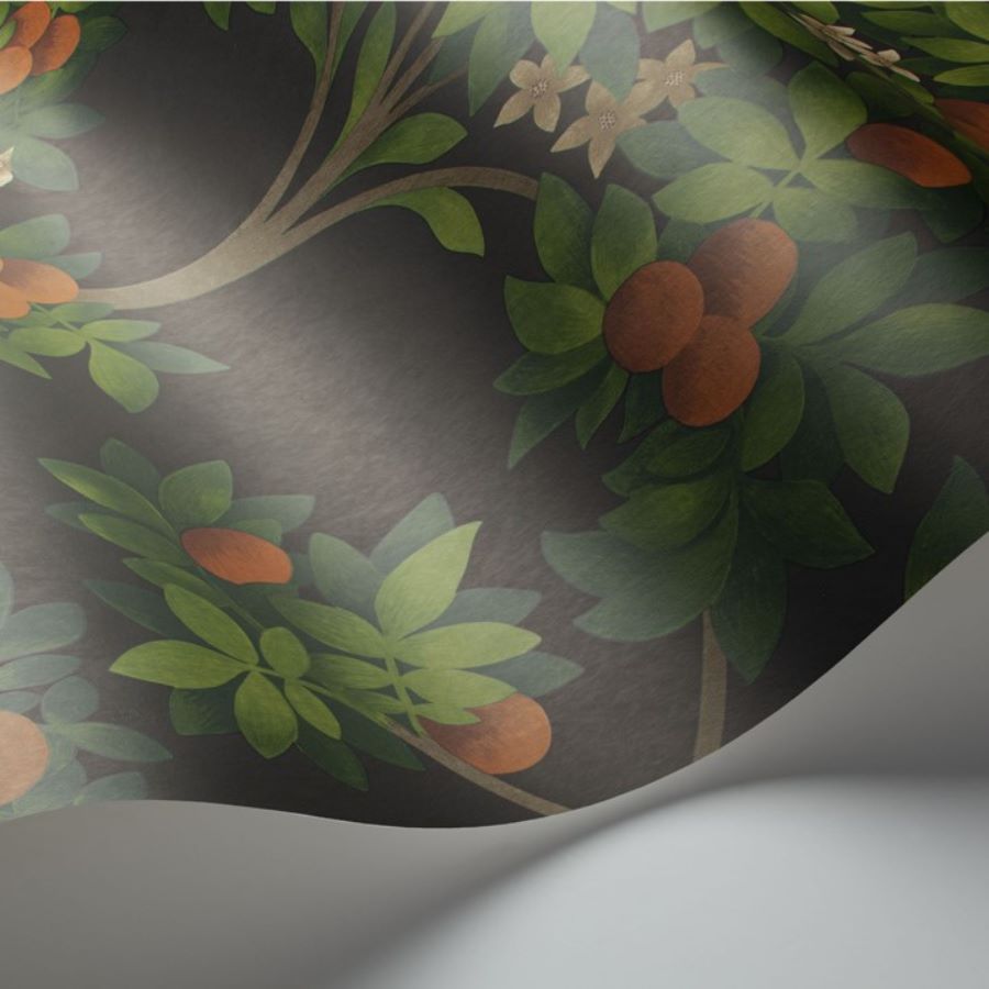 Cole and Son Tapet Orange Blossom 3