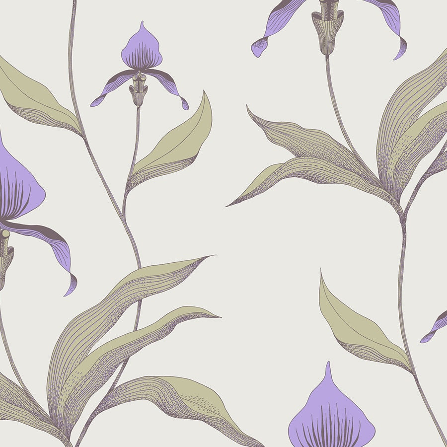 Cole and Son Tapet Orchid 24