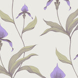 Cole and Son Tapet Orchid 24