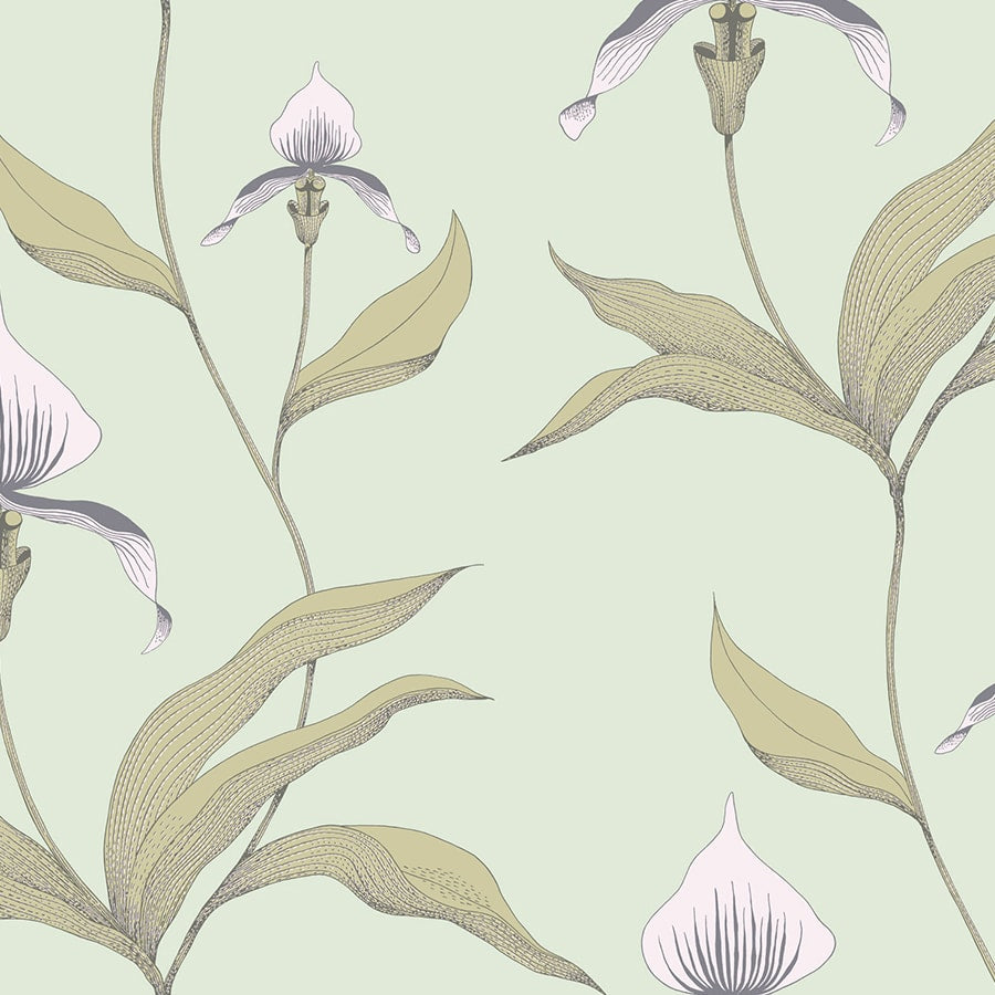 Cole and Son Tapet Orchid 28