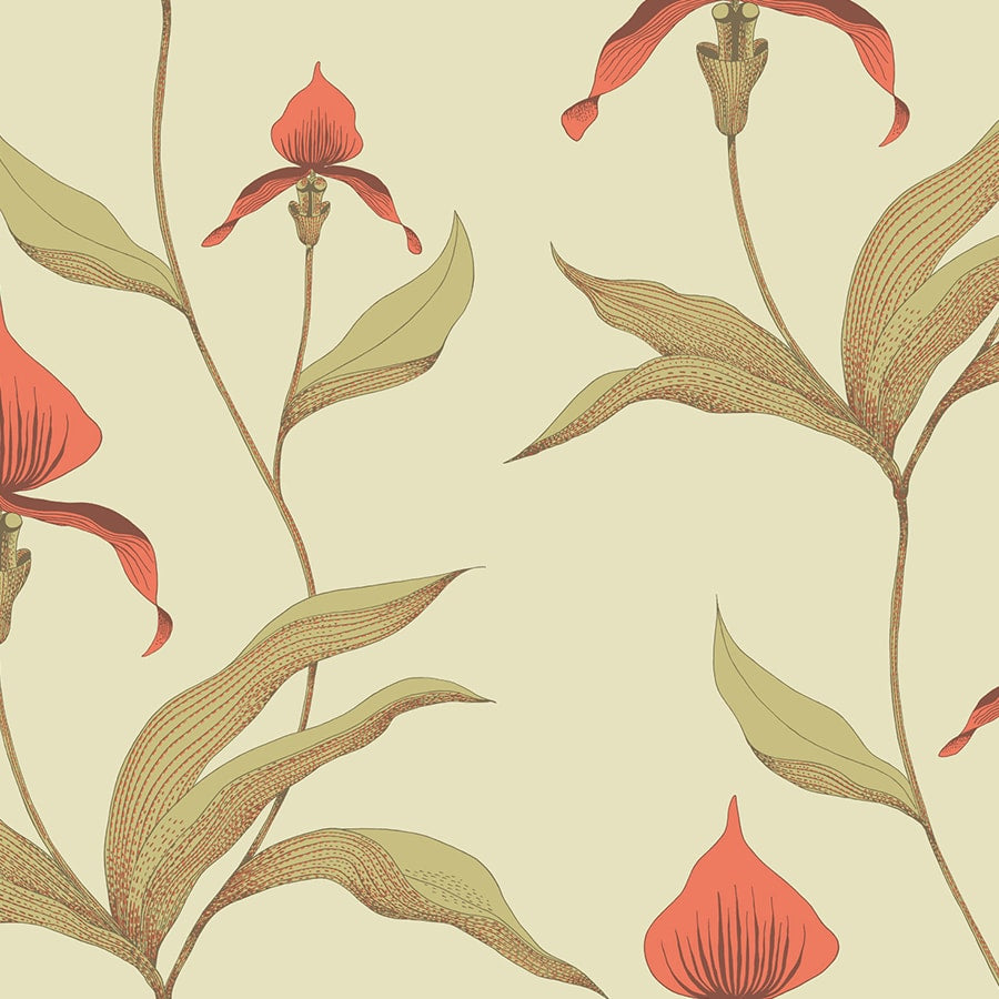 Cole and Son Tapet Orchid 33