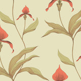 Cole and Son Tapet Orchid 33