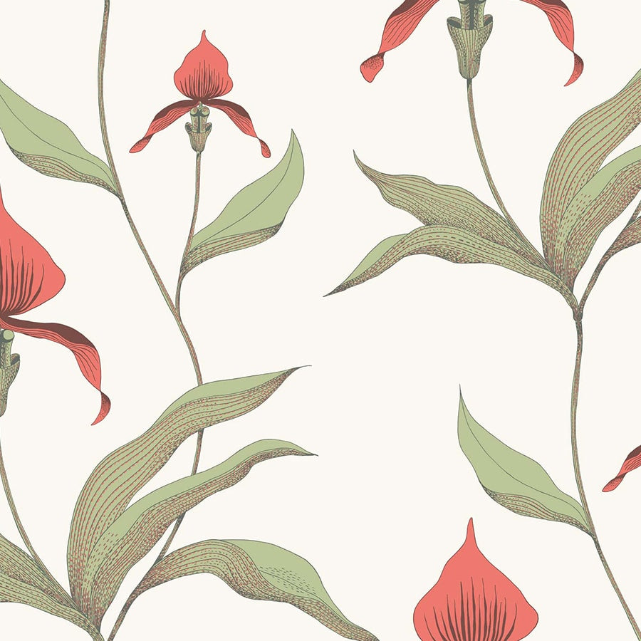 Cole and Son Tapet Orchid 54
