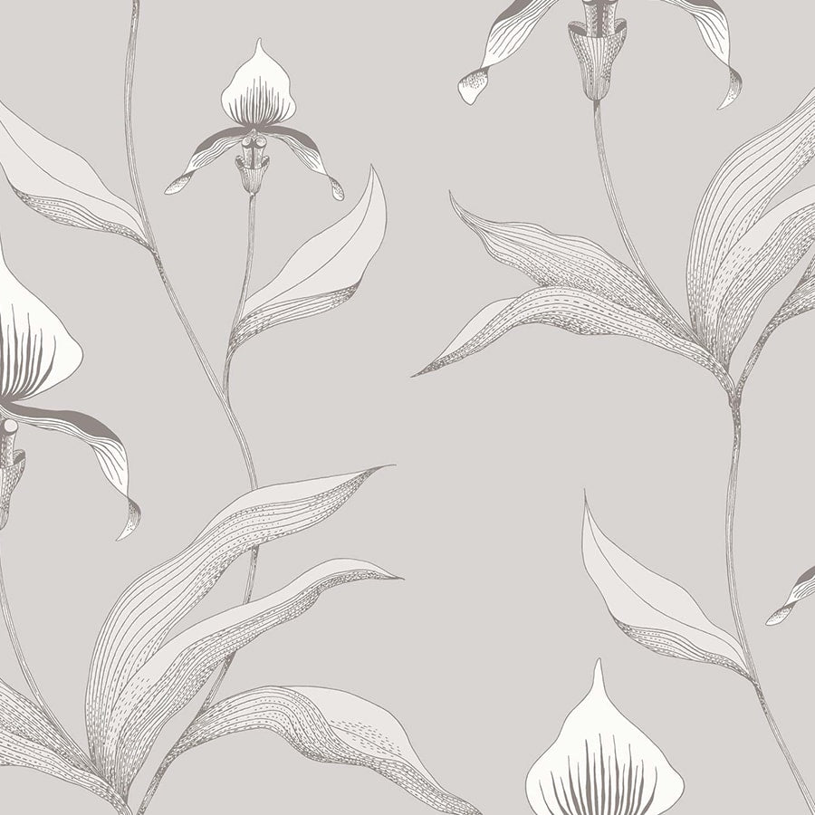 Cole and Son Tapet Orchid 55