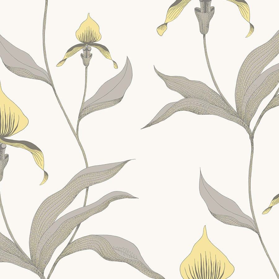 Cole and Son Tapet Orchid 57