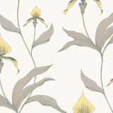 Cole and Son Tapet Orchid 57