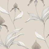 Cole and Son Tapet Orchid 58