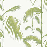 Cole and Son Tapet Palm 09
