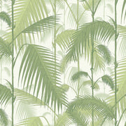 Cole and Son Tapet Palm Jungle 01