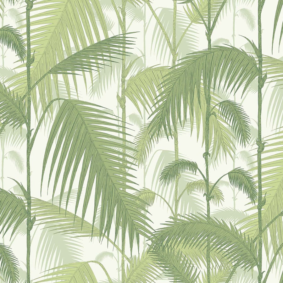 Palm Jungle Tapet
