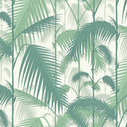 Cole and Son Tapet Palm Jungle 02