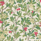 Cole and Son Tapet Strawberry Tree 49