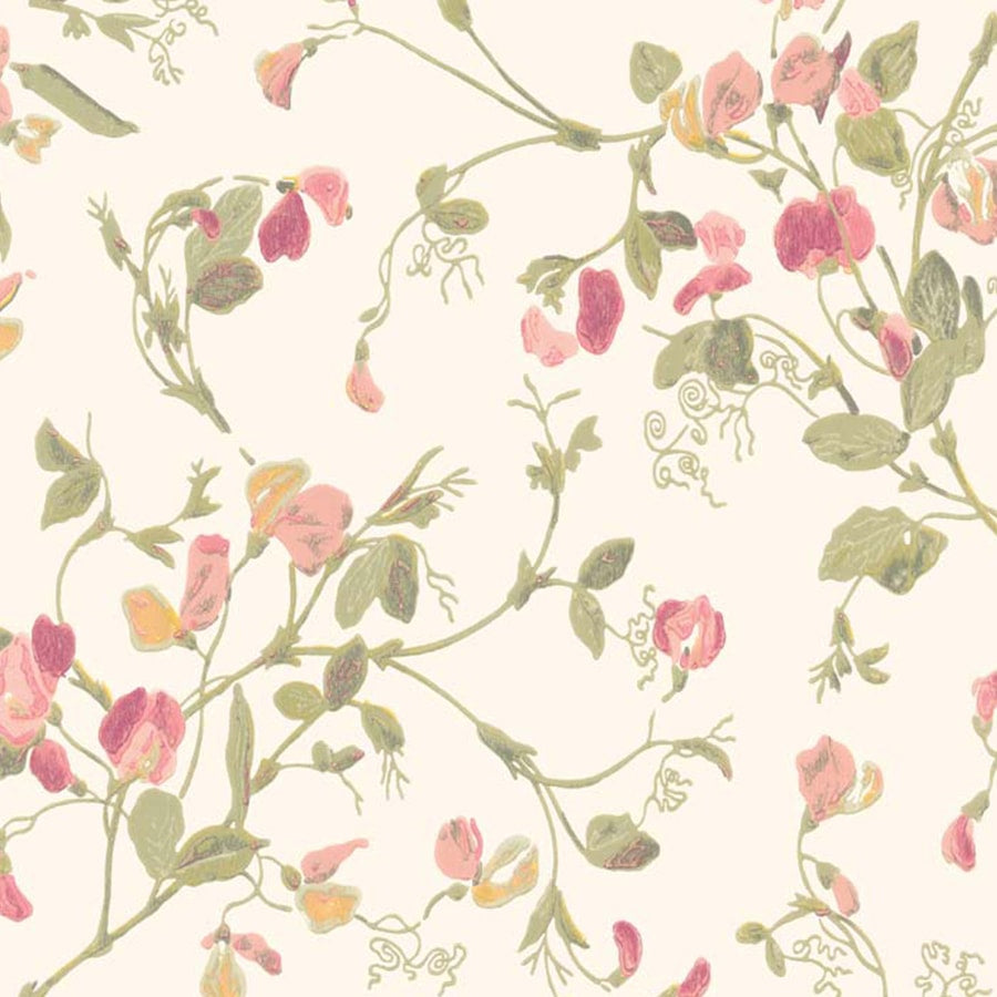 Cole and Son Tapet Sweet Pea 28
