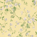 Cole and Son Tapet Sweet Pea 29
