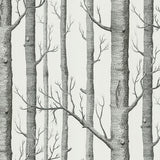 Cole and Son Tapet Woods 47