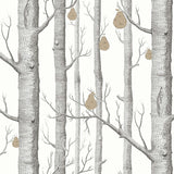 Cole and Son Tapet Woods & Pears 27