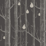 Cole and Son Tapet Woods & Pears 31
