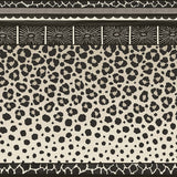Cole and Son Bård Zulu 61