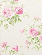 Sanderson Tapet Adele Raspberry/Ivory