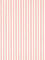 Sanderson Tapet New Tiger Stripe Rose/Ivory
