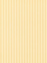 Sanderson Tapet New Tiger Stripe Honey/Cream