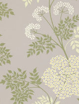 Sanderson Tapet Cowparsley Amethyst