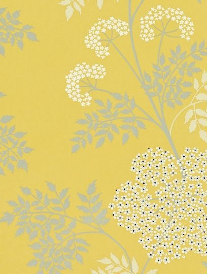 Sanderson Tapet Cowparsley Chinese Yellow