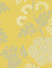 Sanderson Tapet Cowparsley Chinese Yellow