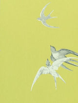 Sanderson Tapet Swallows Lime