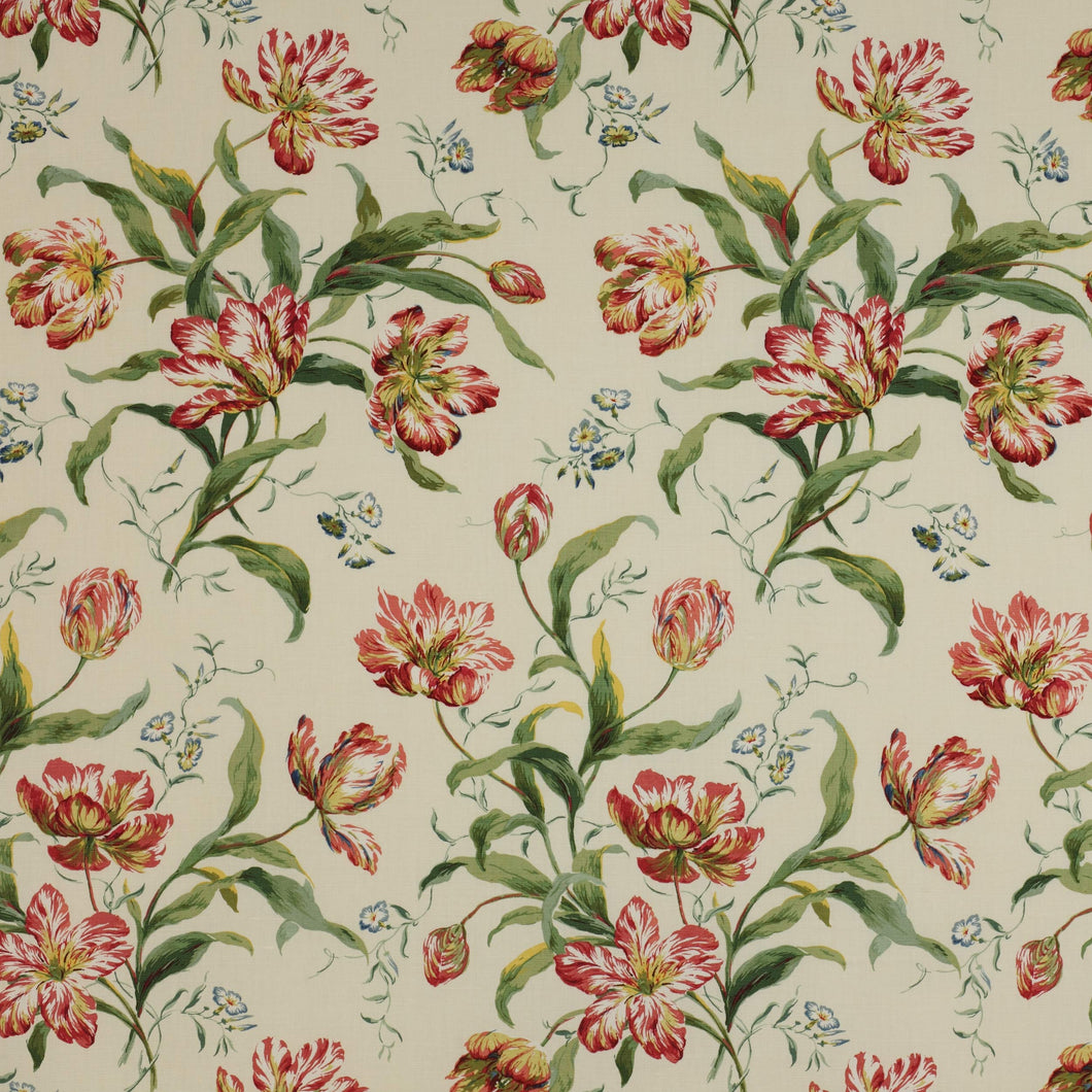 Colefax and Fowler Tyg Delft Tulips Pink Green