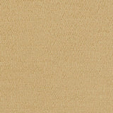Designers Guild Tyg Anshu Pale Gold