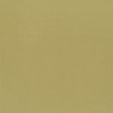 Designers Guild Tyg Aquarelle Bronze