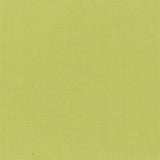 Designers Guild Tyg Aquarelle Moss