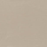 Designers Guild Tyg Aquarelle Pumice