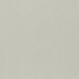 Designers Guild Tyg Aquarelle Titanium