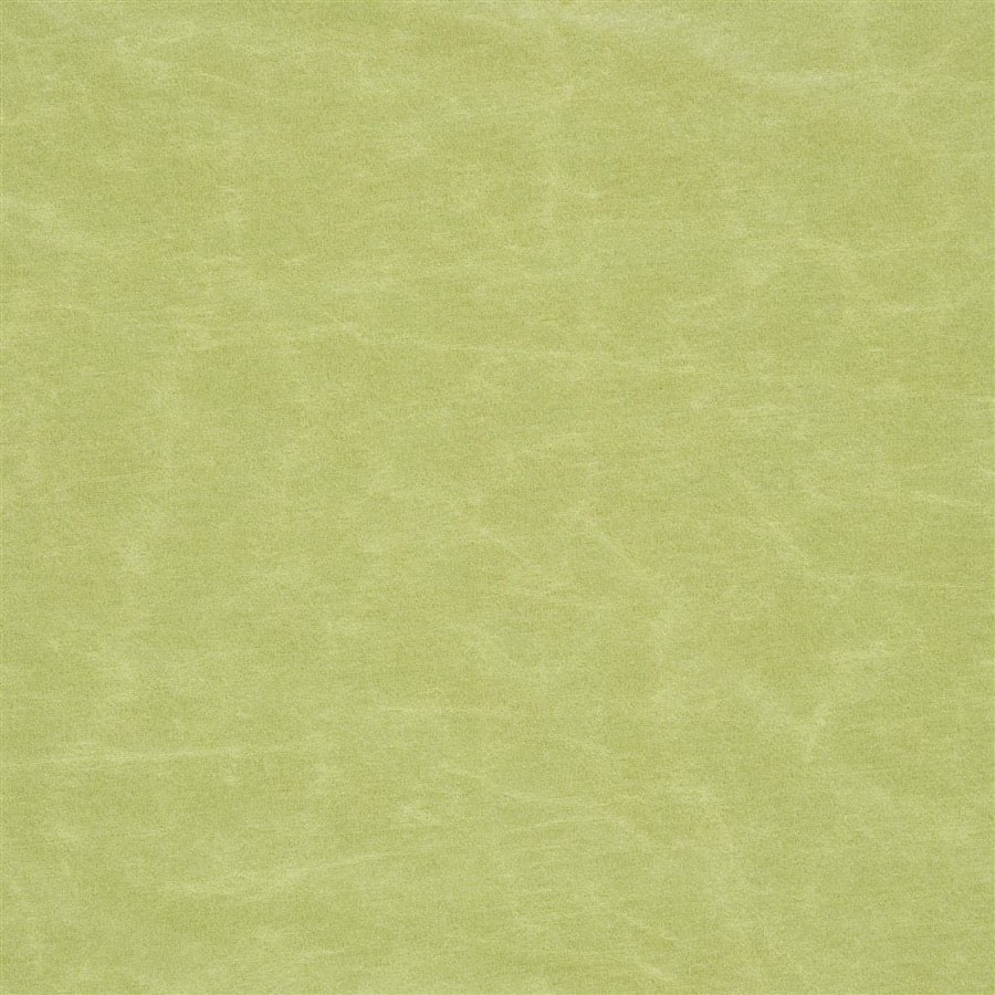 Designers Guild Tyg Arizona Moss