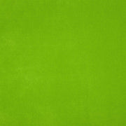 Designers Guild Tyg Arona Grass