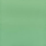 Designers Guild Tyg Calozzo Pale Jade