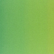 Designers Guild Tyg Capisoli Grass