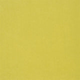 Designers Guild Tyg Cassia Acacia