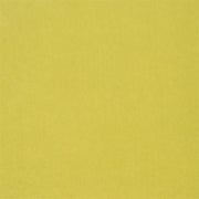 Designers Guild Tyg Cassia Acacia