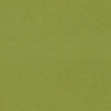 Designers Guild Tyg Cassia Apple