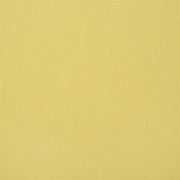 Designers Guild Tyg Conway Lemon